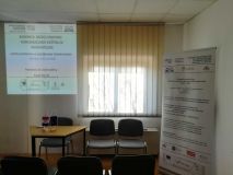 IMG_2-min.jpg